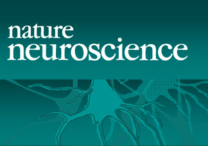 Natire Neuroscience Journal